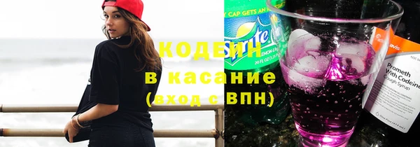 крисы Алексин