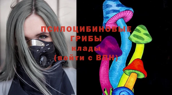 крисы Алексин