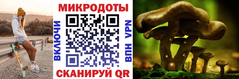 где продают наркотики  Георгиевск  площадка какой сайт  Псилоцибиновые грибы Psilocybe 