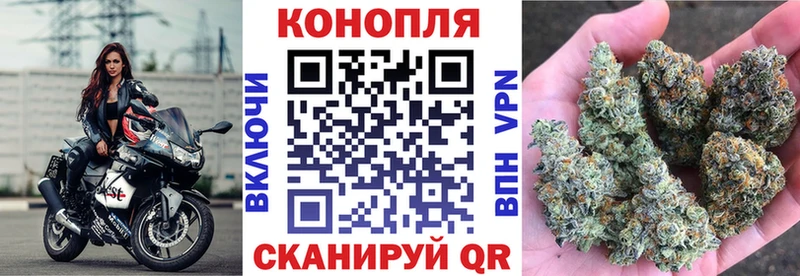 Шишки марихуана семена  Георгиевск 